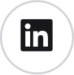 LinkedIn icon